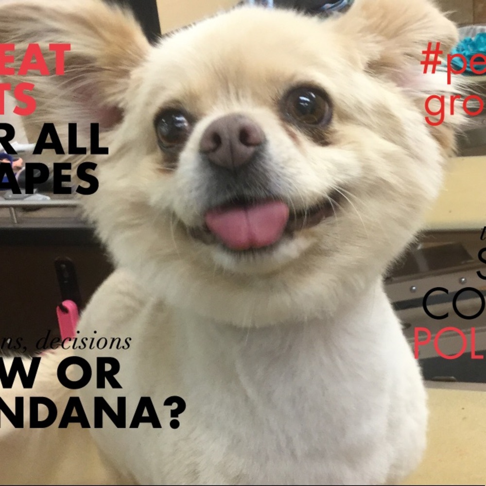 Meet your Posher, Leticia